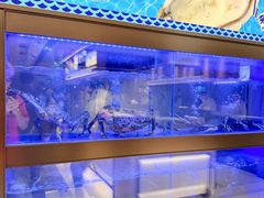 -海底捞大排档火锅(悦荟广场店)