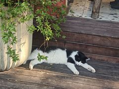 -萤火虫咖啡(后海店)