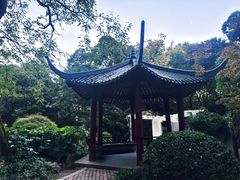 -中山公园