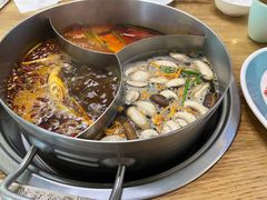 -青瓷火锅料理(西单大悦城店)