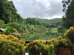 -弘法寺斋菜馆素食