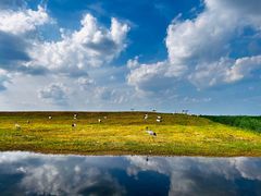 -黑龙江扎龙生态旅游区