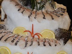 -斯普汇生蚝牛排馆(中骏世界城店)