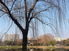 -堤角公园