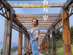 -白草畔自然风景区