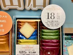 -中部国际机场