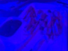 -288 Livehouse 酒吧(思南公馆店)