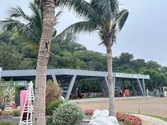 -野狸岛