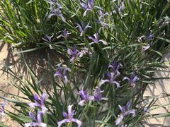 -元大都城垣遗址公园