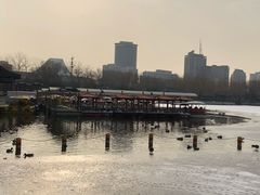 -莲花池公园