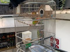 -怡得观滇餐厅·地道昆明菜·1996(海埂大坝店)