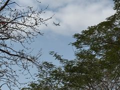-云溪植物园