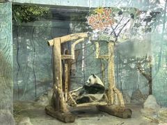 -海南热带野生动植物园