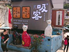 -猫咪博物馆(顶澳仔猫街店)