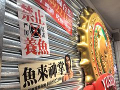 -鱼神脆皮烤鱼(深圳宝安坪洲店)