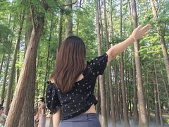 -东湖落雁景区
