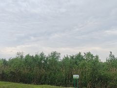 -两河城市森林公园