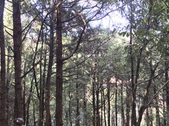 -西游洞风景区