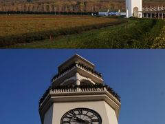 -南京枫彩漫城