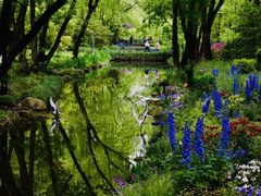 -上海共青森林公园