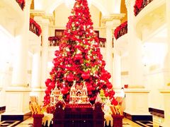 华尔道夫酒店廊吧-LONG BAR 廊吧(外滩华尔道夫酒店)