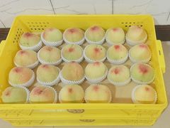 -老袁家蜜桃农场·阳山水蜜桃