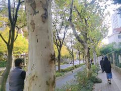 -新江湾城公园