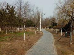 -前关湿地公园