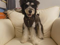 -FAELING PETS美天灵宠物(合生汇店)