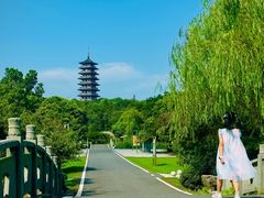 -宜兴龙背山森林公园