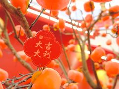 -王府井百货(总府店)