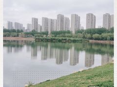 -丁香湖公园