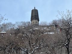 -高尔山公园