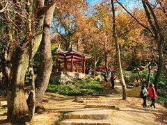 -广州市石门国家森林公园