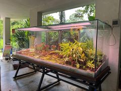 景点-中国科学院西双版纳热带植物园