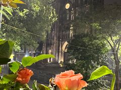 -圣约瑟夫大教堂