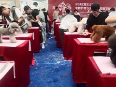 -深圳龙华星河COCO City(民治店)