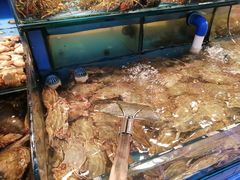 -谊荣海鲜大牌档(石湖店)