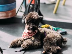 -CrossFit MET综合体能训练馆(朝阳路店)