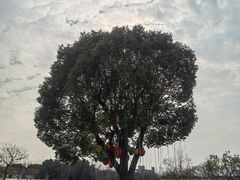 -歌斐颂巧克力小镇