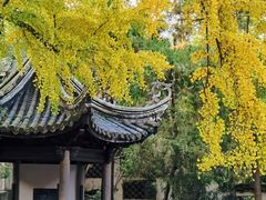 -无锡惠山寺