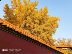 -故宫博物院(故宫)