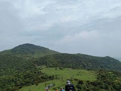 -大姆山草场