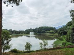 -福建鲤鱼洲酒店