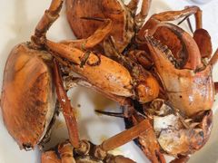 莲花公园煎蟹-莲花公园煎蟹(总店)