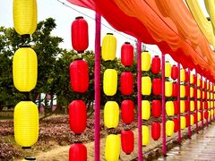 -漩门湾国家湿地公园