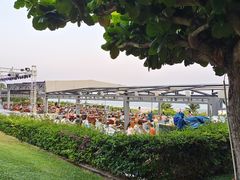-渔家火锅·海鲜自助餐·演艺(亚龙湾天域酒店)