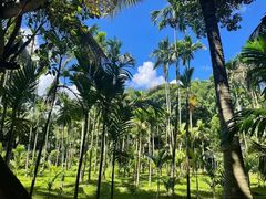 -西双版纳傣族园