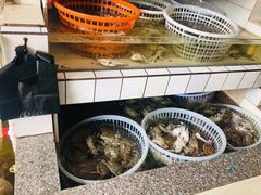 -东戴河风景区-止锚湾