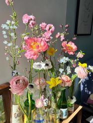 -美肤盾祛痘·问题肌头疗管理中心